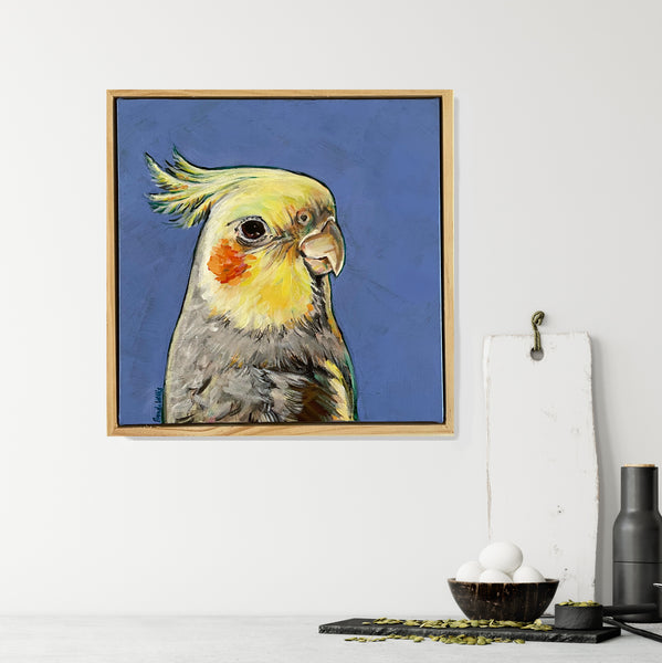 Australian Cockatiel acrylic painting