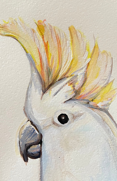 Original Australian Sulphur Crested Cockatoo mini acrylic painting