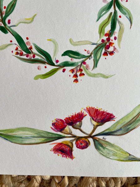 Australian native flower watercolour coasters set.