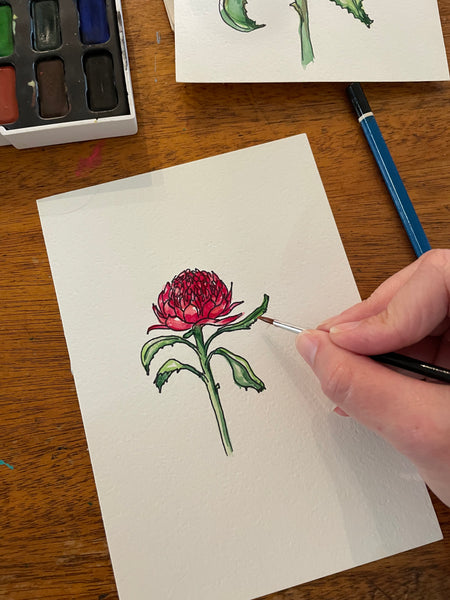 Original Australian Waratah painting artwork #2. Watercolour & pen red native flower drawing