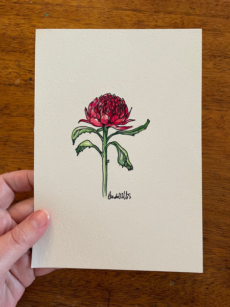 Original Australian Waratah painting artwork #2. Watercolour & pen red native flower drawing