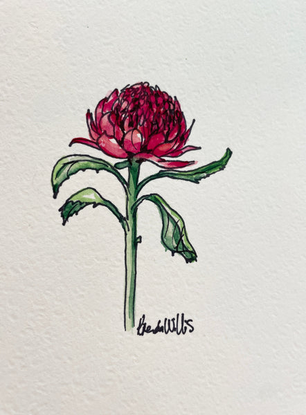 Original Australian Waratah painting artwork #2. Watercolour & pen red native flower drawing