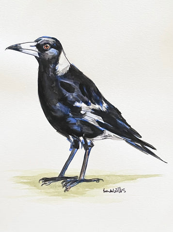 Original Watercolour Australian Magpie artwork.
