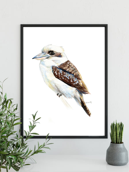 Australian native Kookaburra watercolour artwork print.