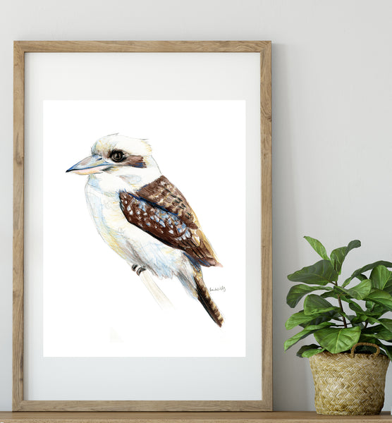 Australian native Kookaburra watercolour artwork print.