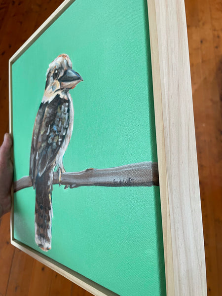 Australian Kookaburra acrylic painting