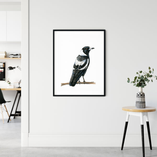 Watercolour Australian Magpie artwork print