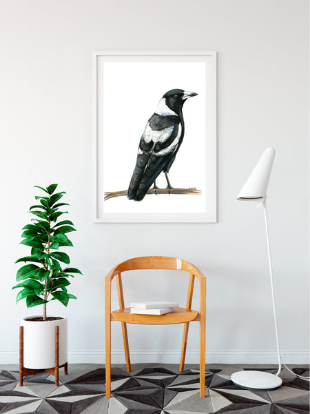 Watercolour Australian Magpie artwork print