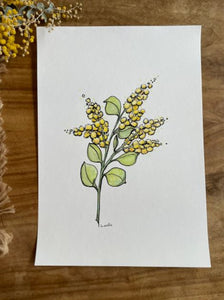 Original Australian Wattle painting artwork. Watercolour pencil yellow native flower drawing.