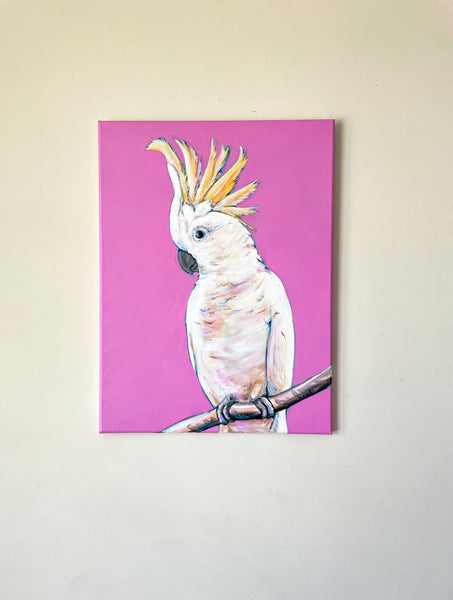 Original Australian Sulphur Crested Cockatoo acrylic painting