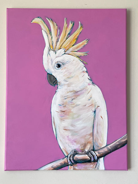 Original Australian Sulphur Crested Cockatoo acrylic painting