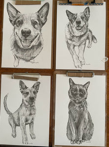 Custom sketch pet portraits x 4