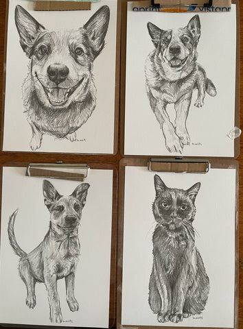 Custom sketch pet portraits x 4