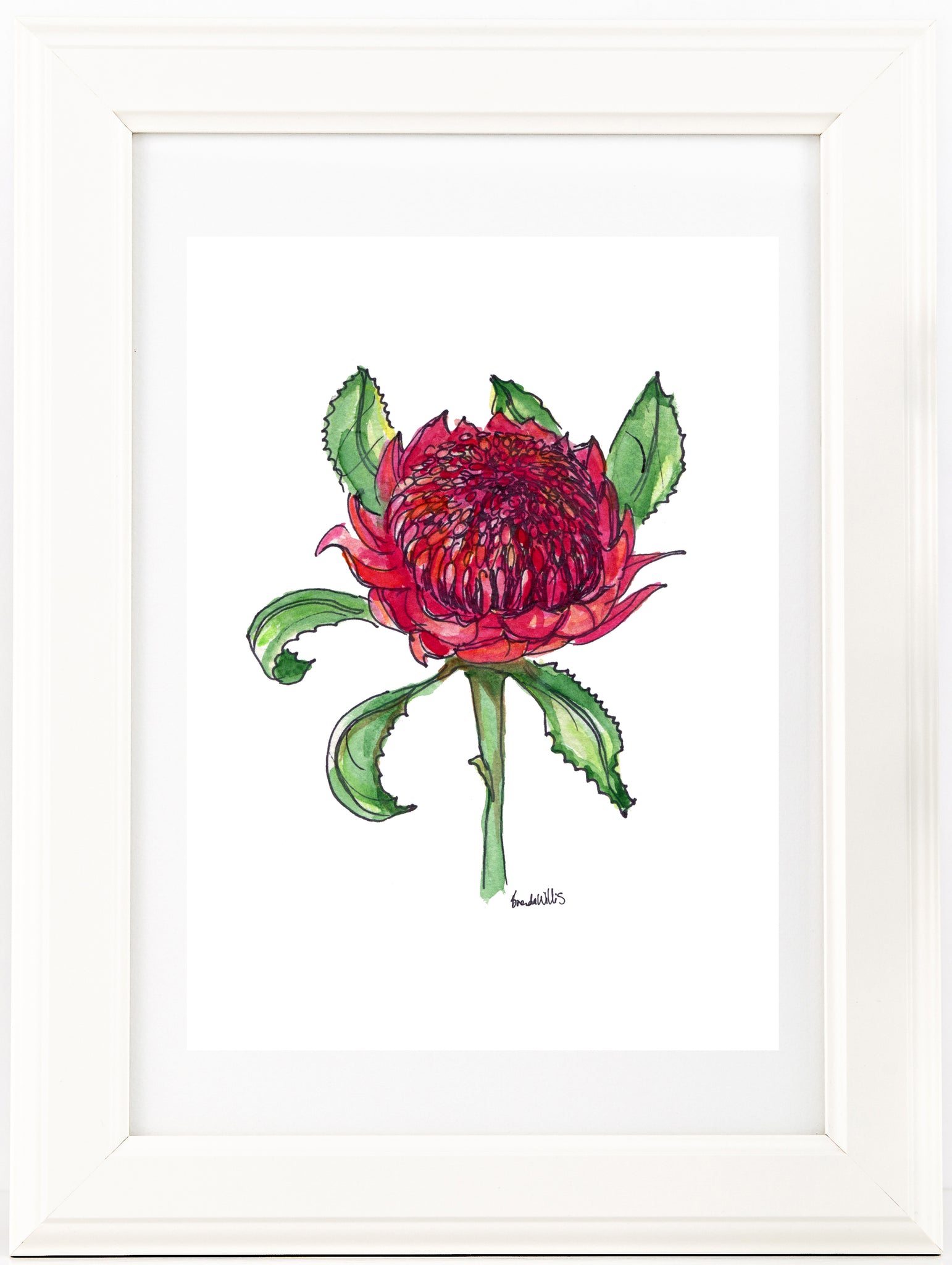 Australian watercolour and pen red Waratah art print.