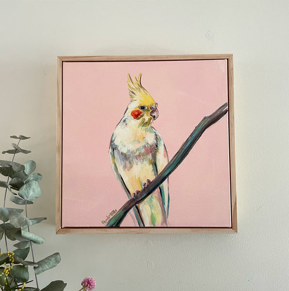 Cockatiel on branch with peach background painting 