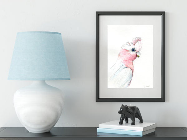 Australian pink Galah watercolour art print.